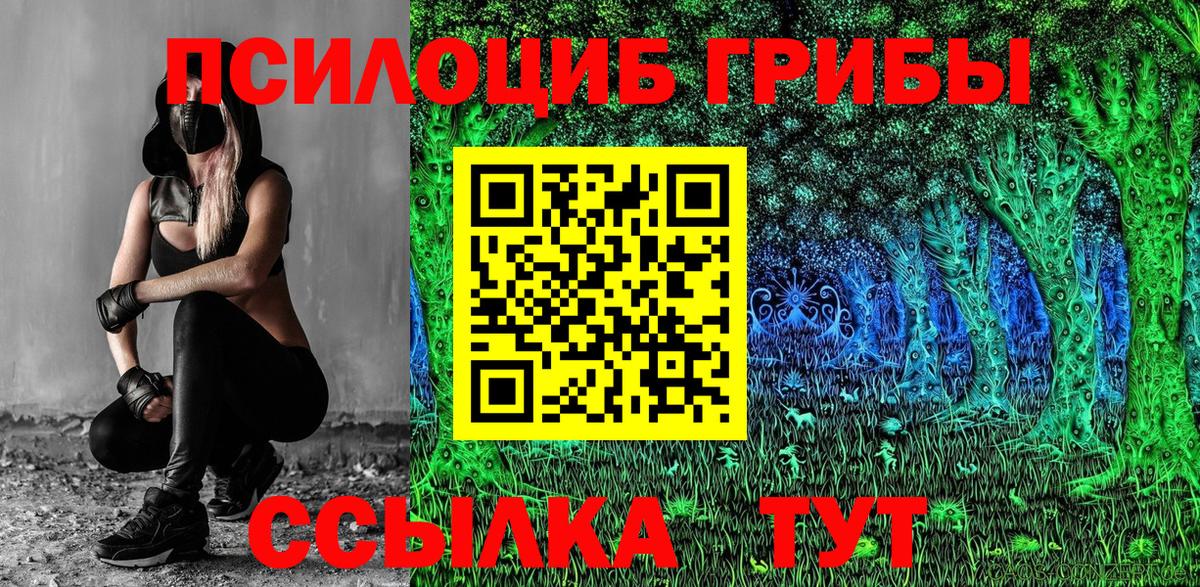 Зеленогорск  Галлюциногенные грибы мухоморы  Вход с VPN  Галлюциногенные грибы GOLDEN TEACHER 